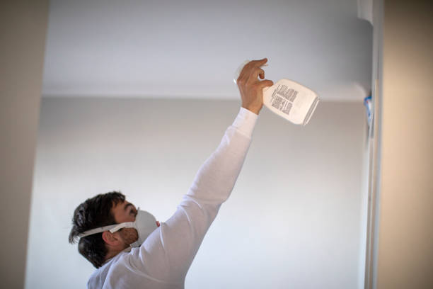 Best Toxic Mold Removal  in Webster, SD