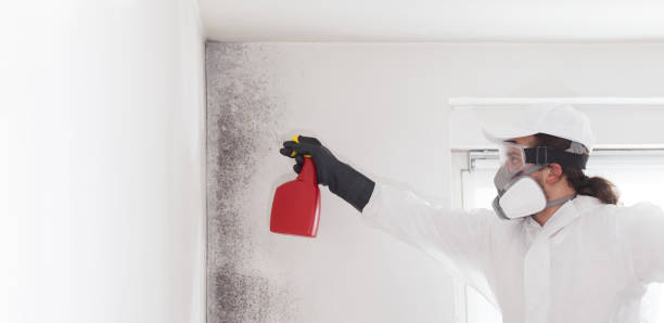 Best Crawl Space Mold Removal  in Webster, SD